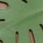 STAUD | Palm Sandal Leaf