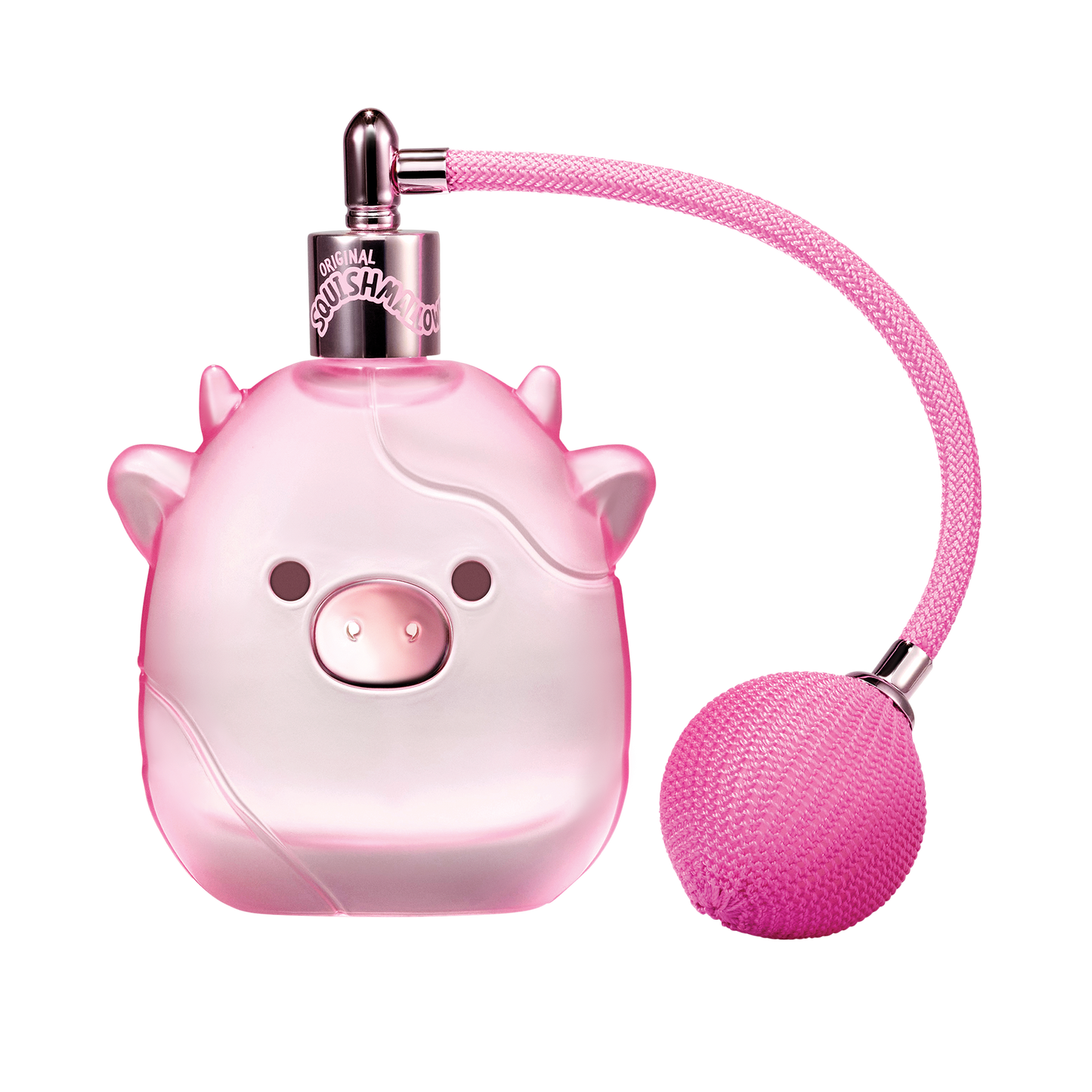 100 mL
