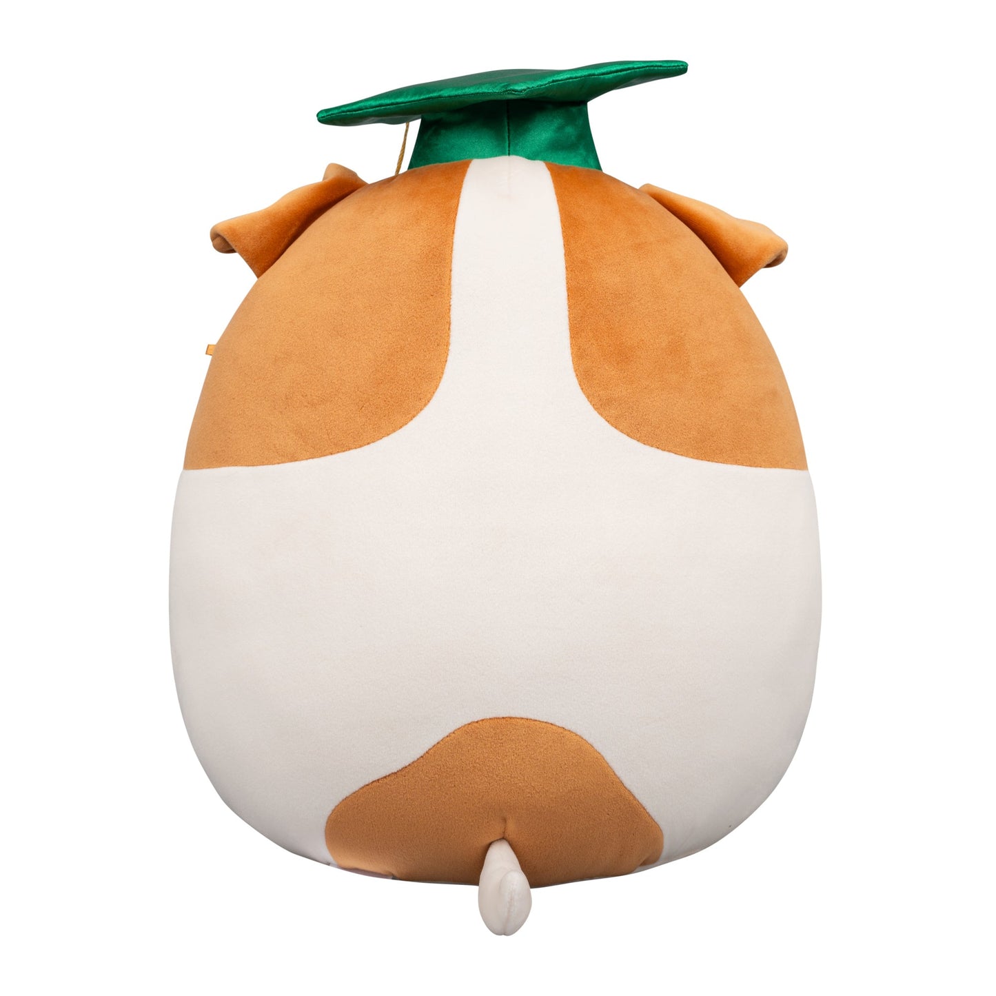 Squishmallows - Squishmallows 12" Brenden the Jack Russell Terrier with Green Graduation | Jazwares