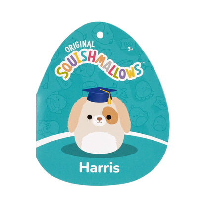 Squishmallows - Squishmallows 8" Harris the Brown Spotted Dog in Graduation Cap | Jazwares