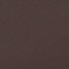 STAUD | Sisley Side Tie Bikini Bottom Dark Chocolate