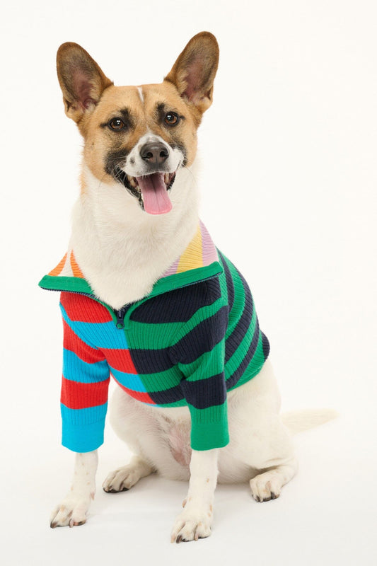 STAUD | Pet Hampton Sweater - Cabana Stripe Multi
