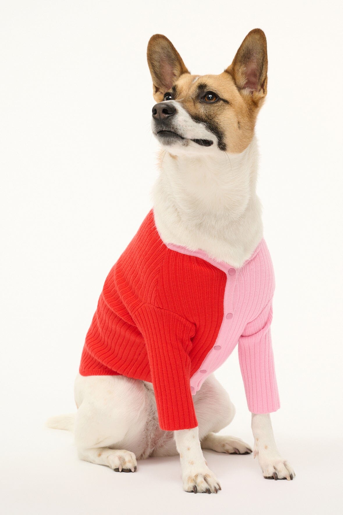 STAUD | Pet Shoko Sweater - Poppy Rosebud
