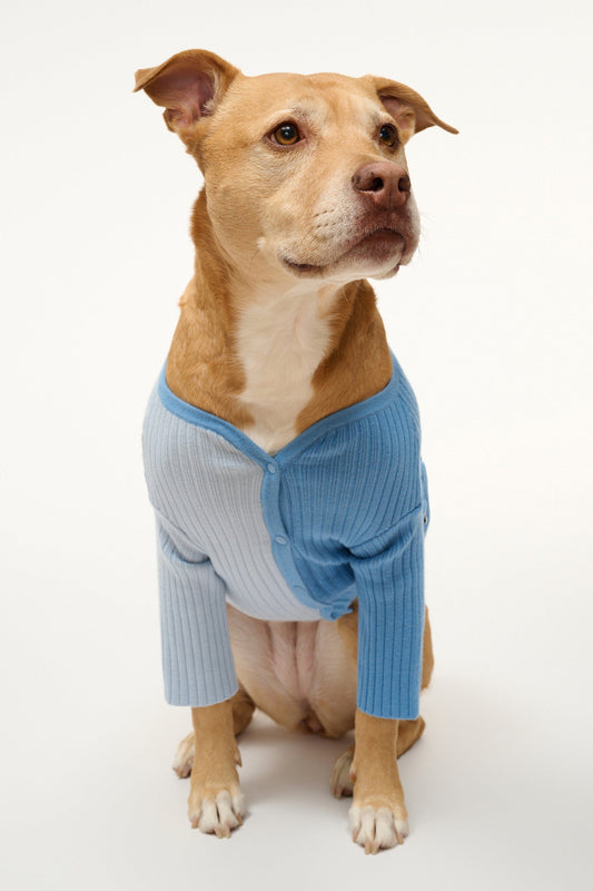 STAUD | Pet Shoko Sweater - Periwinkle Multi