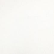 STAUD | Gia Bikini Bottom Bright White