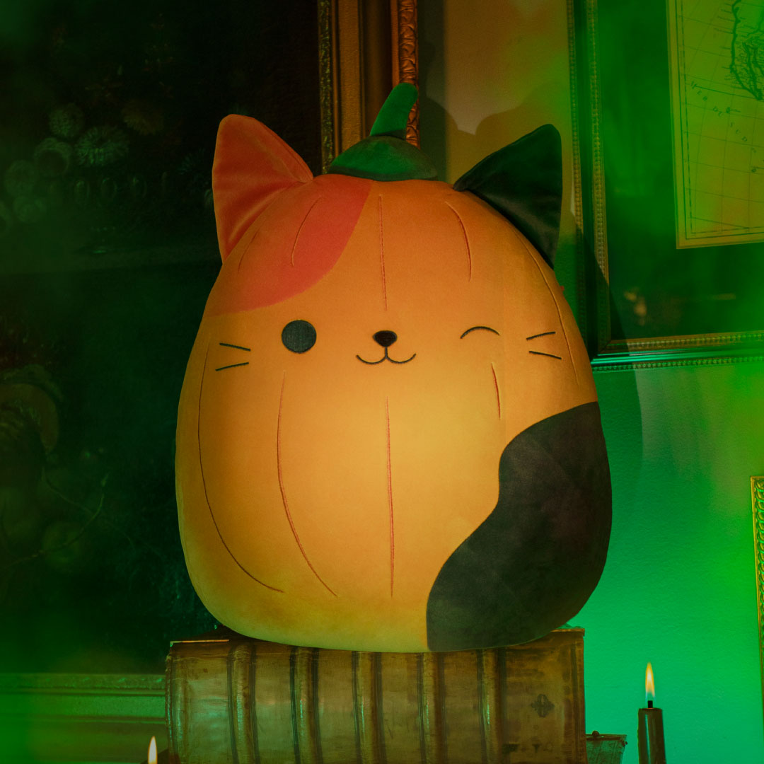 Squishmallows - Squishmallows Pumpkin Cam | Jazwares