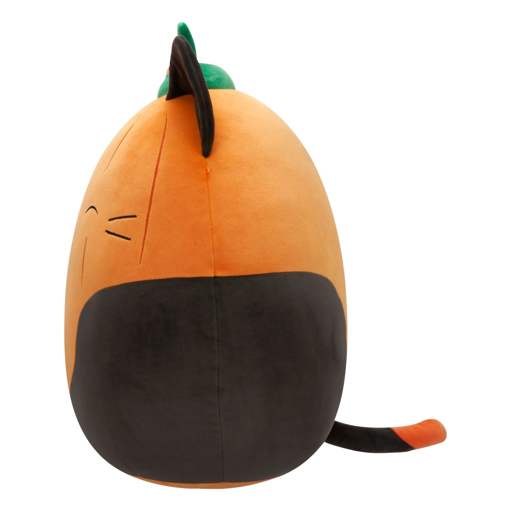 Squishmallows - Squishmallows Pumpkin Cam | Jazwares