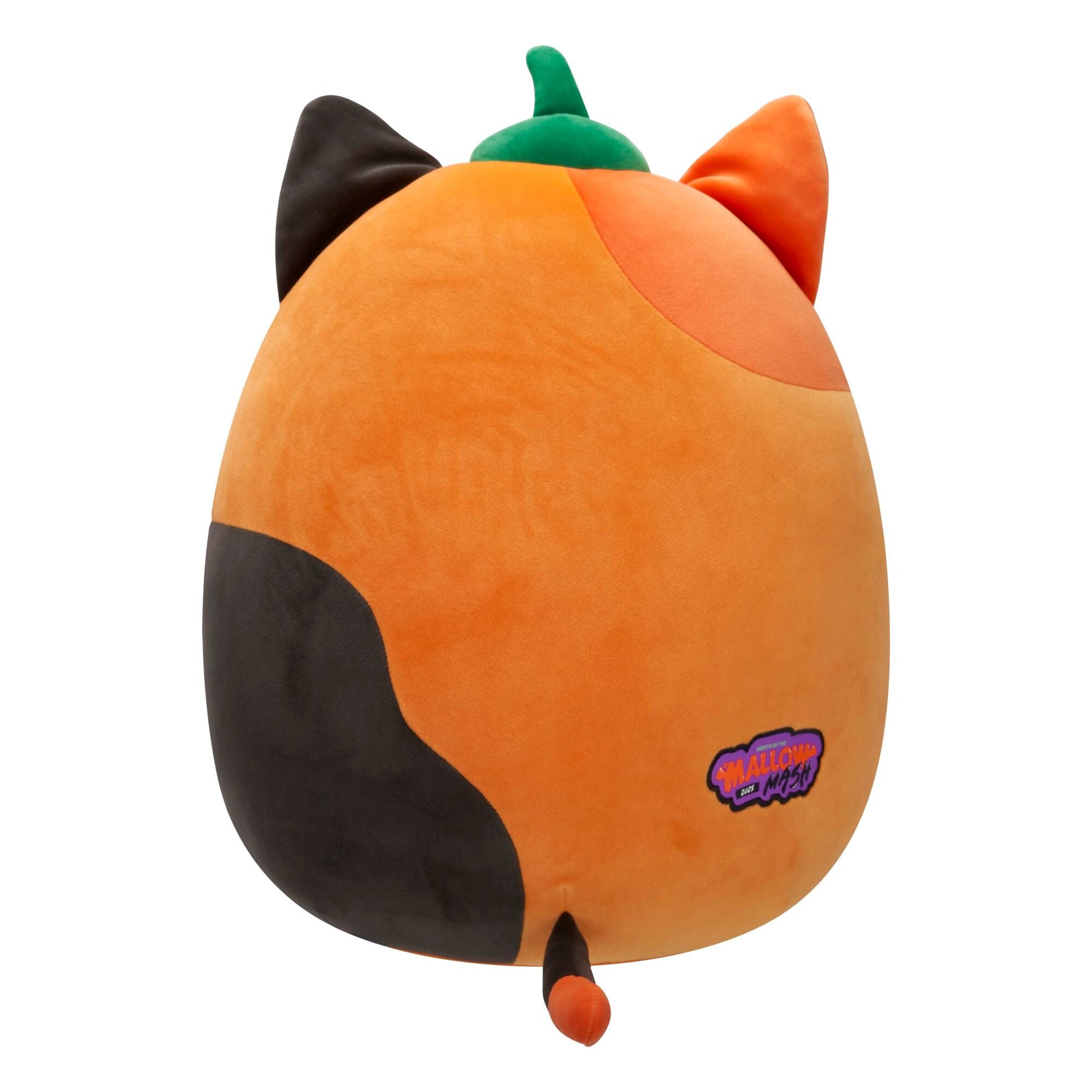 Squishmallows - Squishmallows Pumpkin Cam | Jazwares