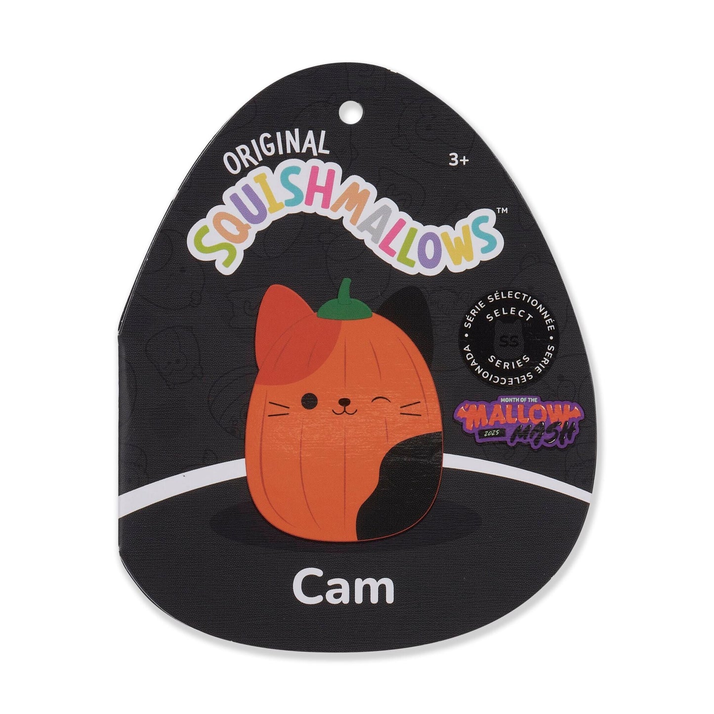 Squishmallows - Squishmallows Pumpkin Cam | Jazwares