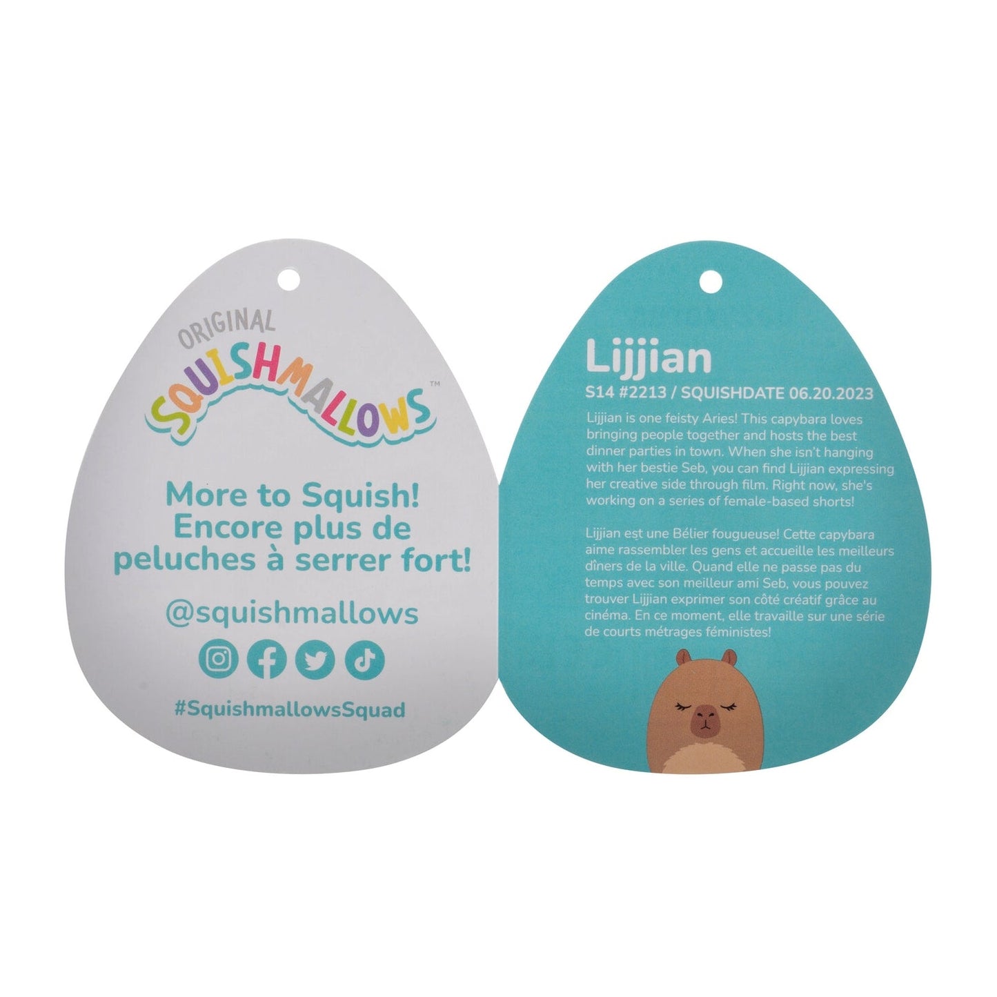 Squishmallows - Squishmallows 14" Lijjian the Brown Capybara| Jazwares